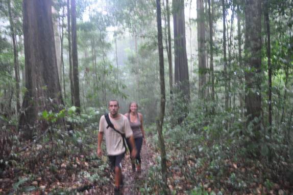 Atravessando a densa floresta da Reserva Natural de Brownsberg, no Suriname